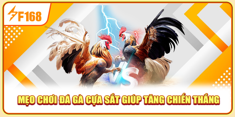 Mẹo chơi đá gà cựa sắt giúp tăng chiến thắng Mẹo chơi đá gà cựa sắt giúp tăng chiến thắng
