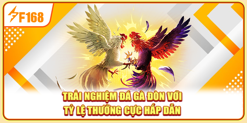 Trải nghiệm đá gà đòn với tỷ lệ thưởng cực hấp dẫn