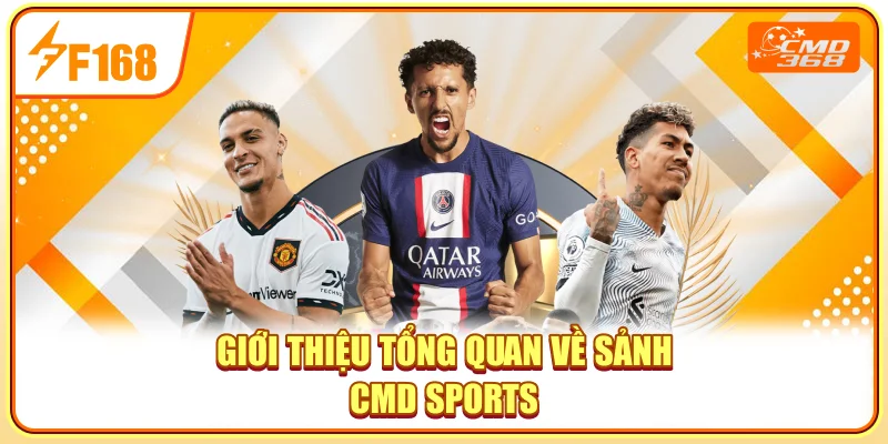 Giới thiệu tổng quan về sảnh CMD Sports Giới thiệu tổng quan về sảnh CMD Sports